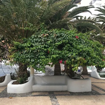 Urbanizacion Playa Chica 산타크루스데 테네리페